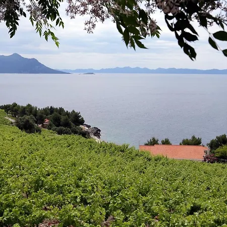 House With A Parking Space Dingac - Pristranj, Peljesac - 660 *