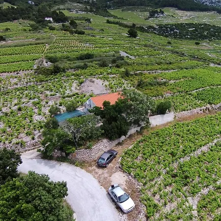 Prázdninový dům House With A Parking Space Dingac - Pristranj, Peljesac - 660