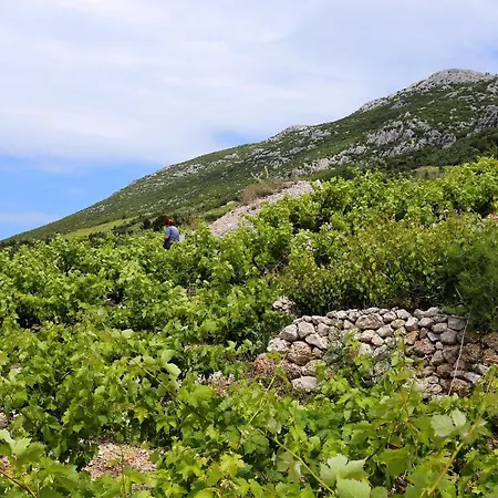 Holiday home House With A Parking Space Dingac - Pristranj, Peljesac - 660 *