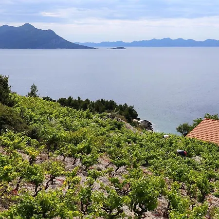 House With A Parking Space Dingac - Pristranj, Peljesac - 660 Holiday home