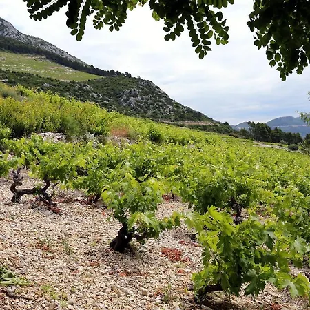 House With A Parking Space Dingac - Pristranj, Peljesac - 660