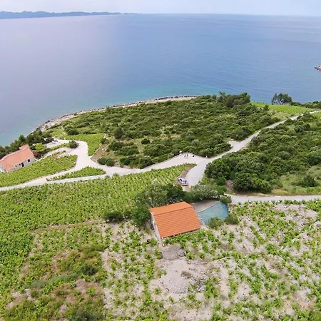 House With A Parking Space Dingac - Pristranj, Peljesac - 660