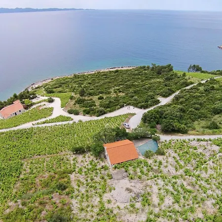 House With A Parking Space Dingac - Pristranj, Peljesac - 660